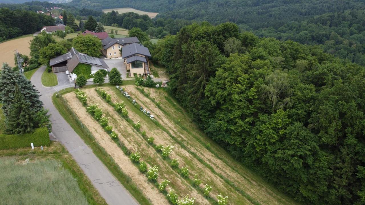 Beim Bergjosl Apartment Kirchbach in Steiermark Bagian luar foto