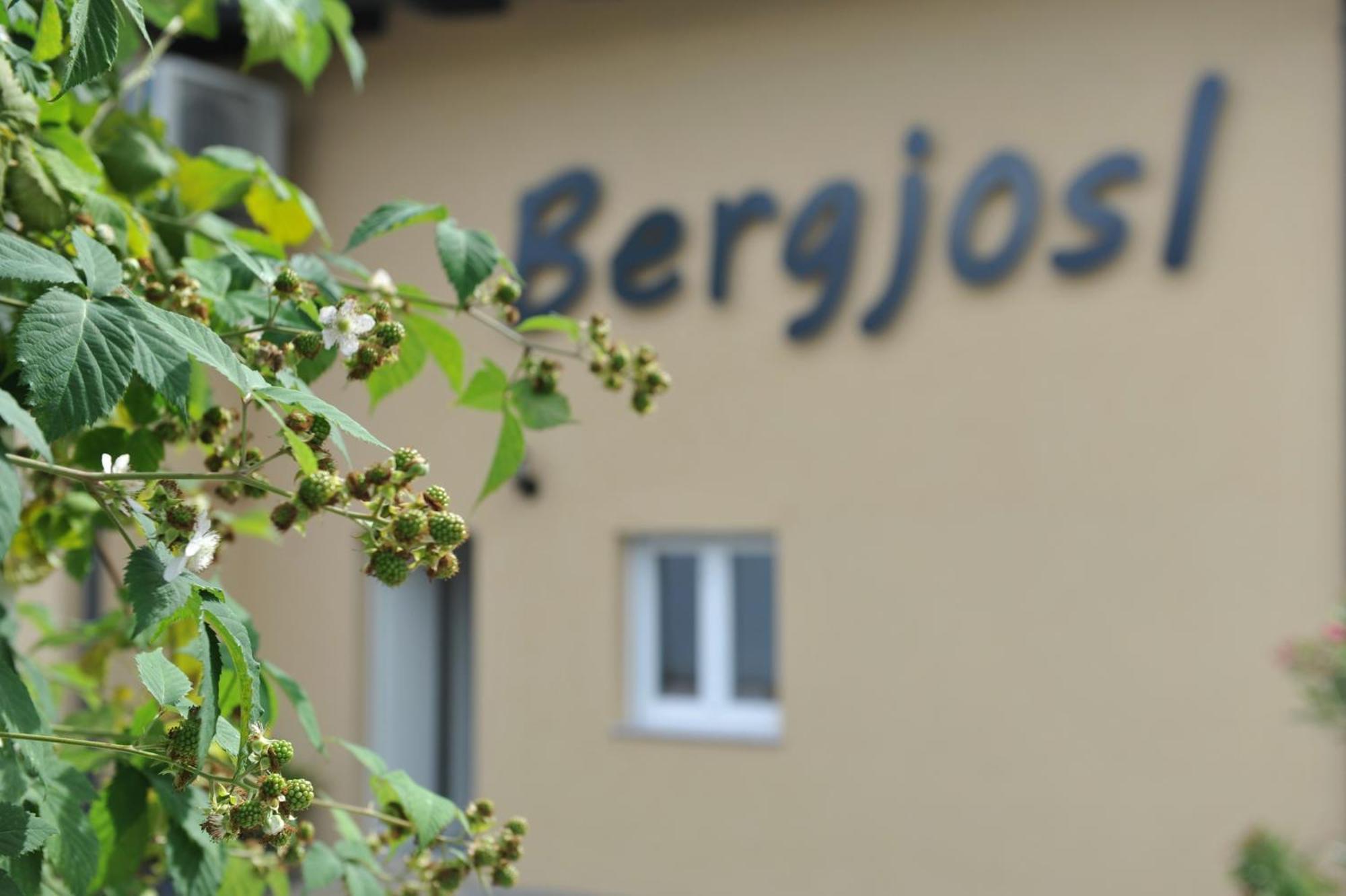 Beim Bergjosl Apartment Kirchbach in Steiermark Bagian luar foto